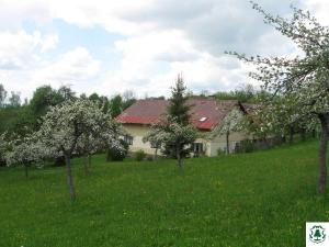 Víchová nad Jizerou - Apartmán(y) U staré jabloně